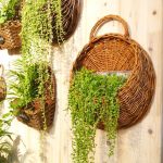 Willow flower baskets in 20, 25 and 32 cm diameters with 8, 10 and 12 cm openings